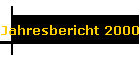 Jahresbericht 2000